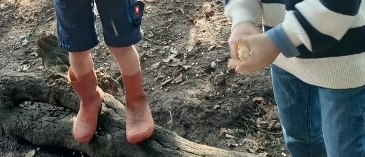 Hof Schatteburg Kinder füttern Hühner im Auslauf auf dem Bauernhof.