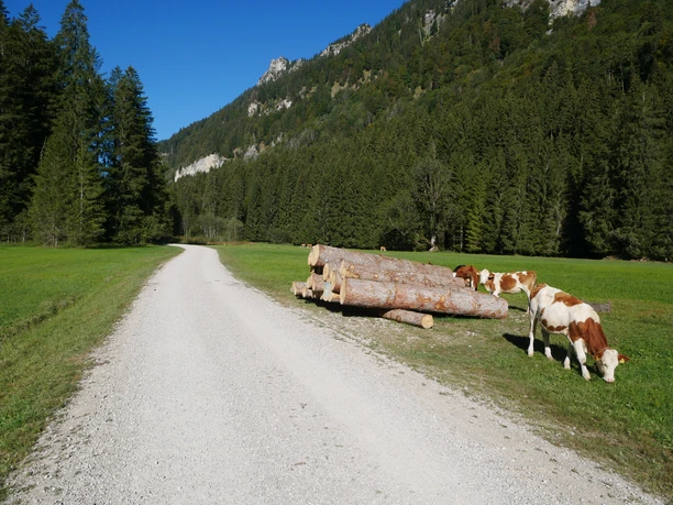 Weg durch das Graswangtal Richtung Schloss Linderhof Weg durch das Graswangtal Richtung Schloss Linderhof