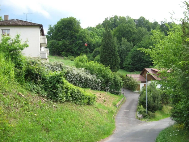 Apartmenthaus ´Schlossberg Ferienwohnung´ - Auffahrt Apartmenthaus ´Schlossberg Ferienwohnung´ - Auffahrt