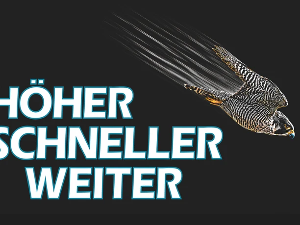 Teaserbild-HSW.png