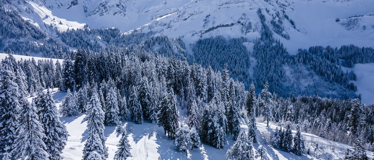 Winterwanderung zum Glaubenbielenpass: Ein Wintermärchen in Sörenberg