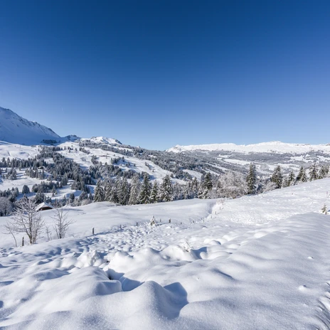 Winterwonderland
