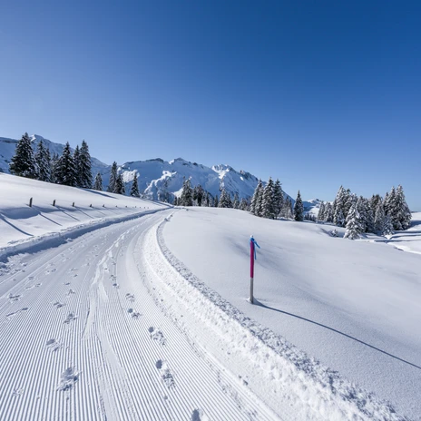 Auf dem Plateau Richtung Panoramastrasse.