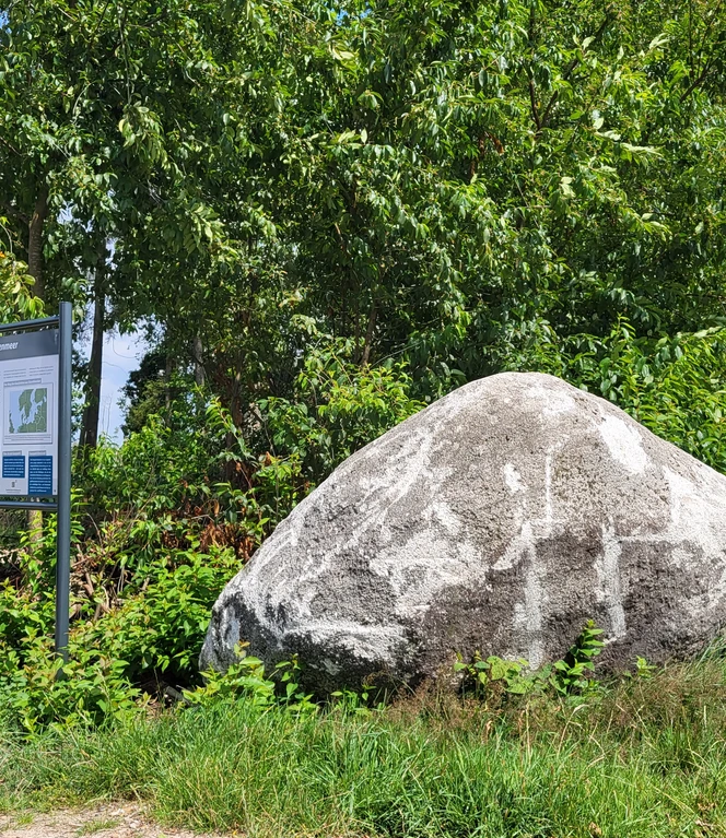 Findling am Theikenmeer, Werlte ©Naturpark Hümmling (1).jpg