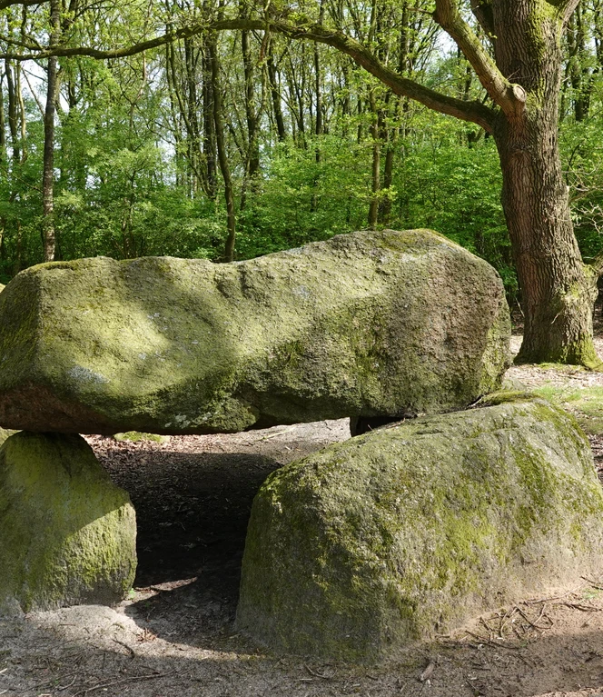 Wappengrab - Großsteingrab in Berßen ©Emsland Tourismus GmbH (5).JPG