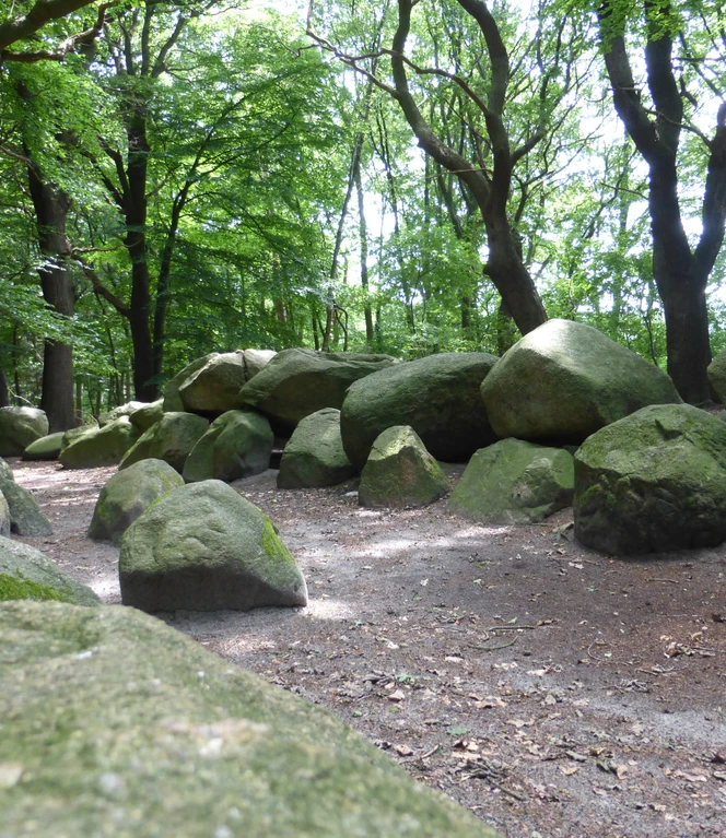 Großsteingrab Volbers Hünensteine (17a) ©Naturpark Hümmling (6).JPG