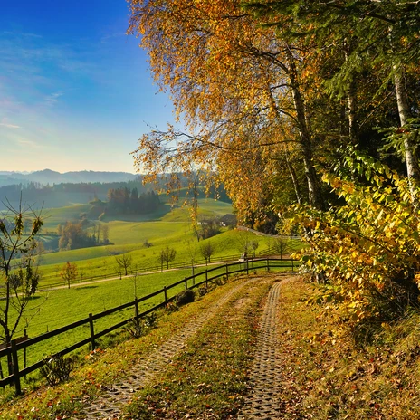 Wandern-Herbst-Mettenberg-Willisau-Martin Mueller-1121-WT-1 (3).jpg