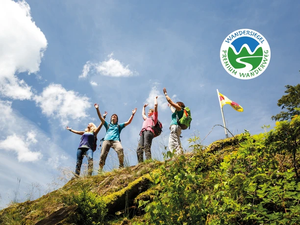 Wandergruppe auf dem Paradiesfelsen/Himmelssteig. Wandergruppe auf dem Paradiesfelsen/Himmelssteig.