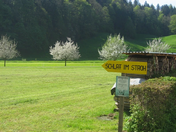 Wegweiser Wegweiser