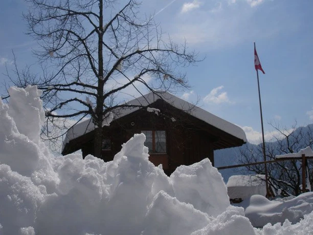 Winter Stöckli Winter Stöckli