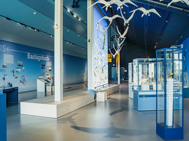 nbz_Ausstellung (1).jpg nbz_Ausstellung (1).jpg