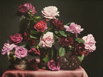 Käthe Buchler, Blumenstilleben (Rosen), o.J. © Nachlass Käthe Buchler – Sammlung MfPh .jpg