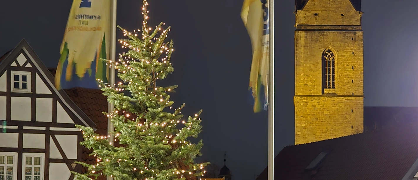 Weihnachtsbaum Rathausplatz Nikolai