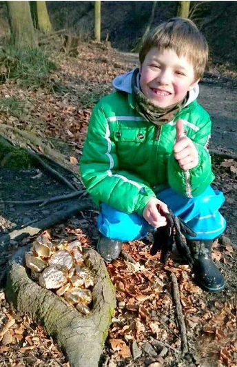 Schatzsuche Junge in grüner Jacke gräbt lachend goldene Gegenstände aus Laub am Waldrand aus.