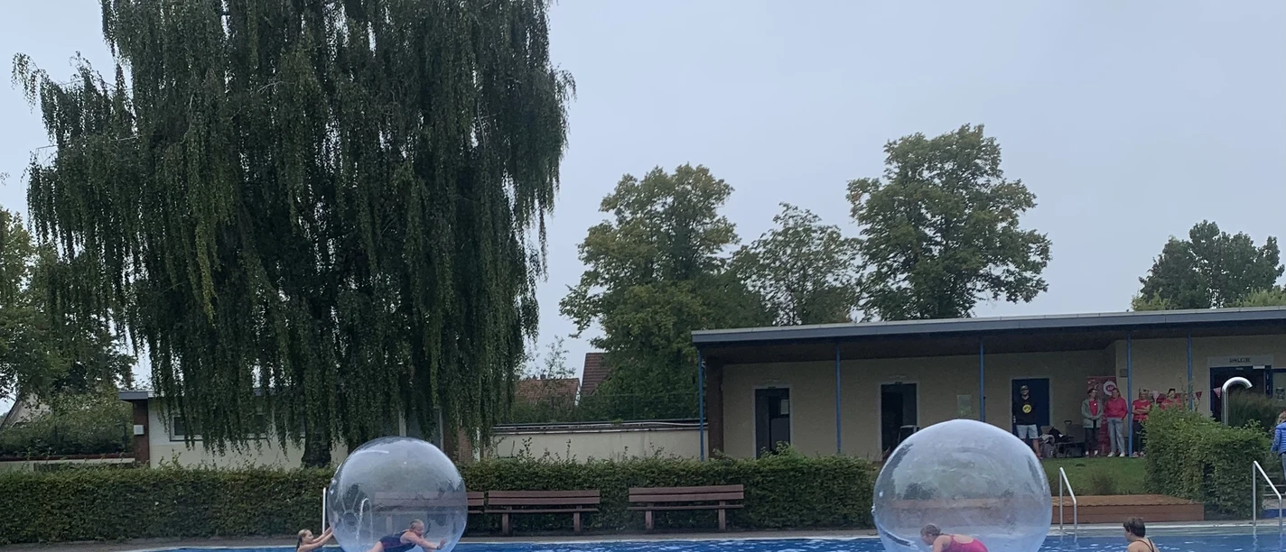IMG_3692.jpeg IMG_3692.jpeg
