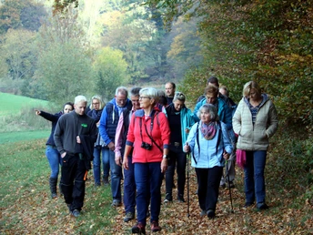 Eine Gruppe von Menschen wandert im Herbst entlang eines Waldpfades, wobei Laub auf dem Boden liegt.