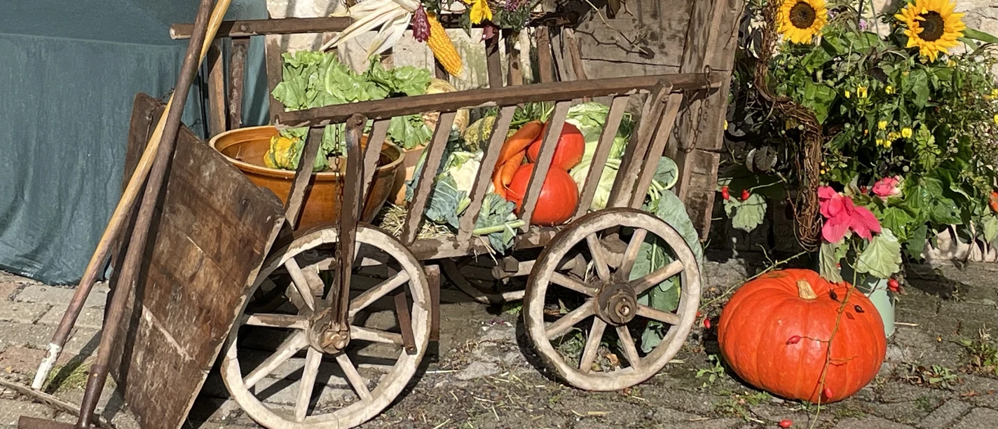 Herbstliche Dekoration mit einem alten Handwagen, Kürbissen und Sonnenblumen