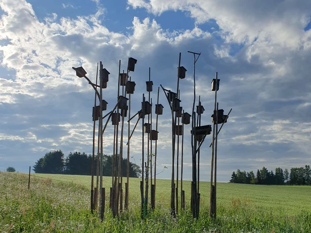 Viele Vogelhäuser auf hohen Holzstangen in einer Wiese unter weitem Wolkenhimmel.