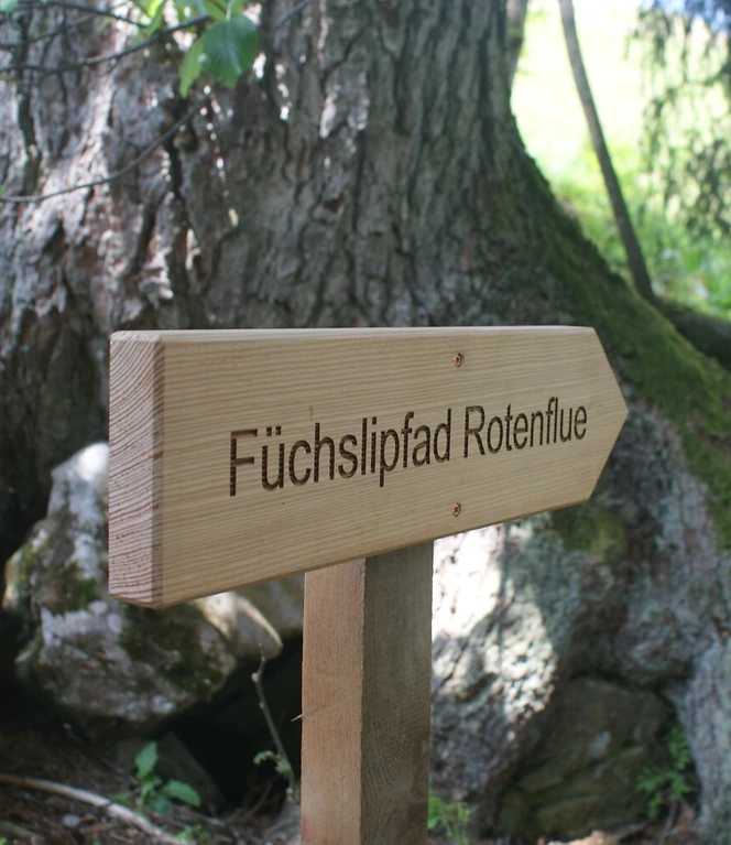 Foto 9 Füchslipfad Rotenflue.jpg