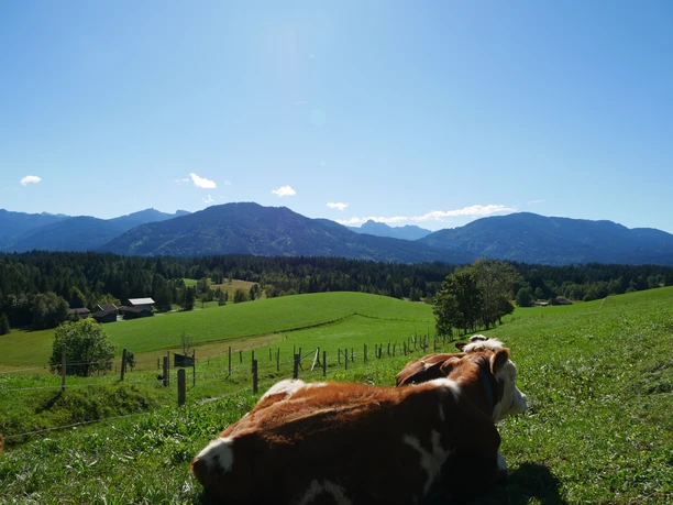 Bergblick vom Wanderweg Bergblick vom Wanderweg