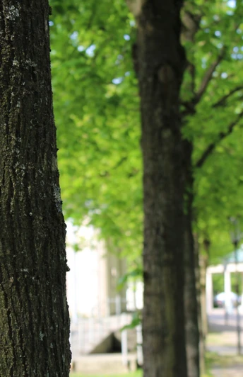 Wegezeichen Bäderweg