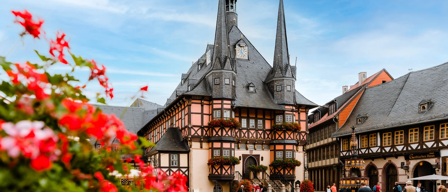 Rathaus_Polyluchs(9).jpg