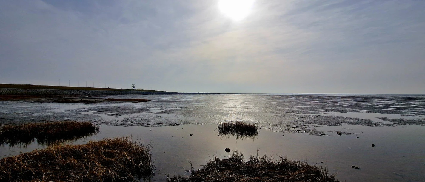 Wattenmeer mit Deichblick Wattenmeer mit Deichblick