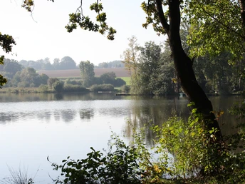 Naturbelassenes Hücker Moor bei ruhigem Wasser, umgeben von Bäumen und sanften Hügeln im Hintergrund.