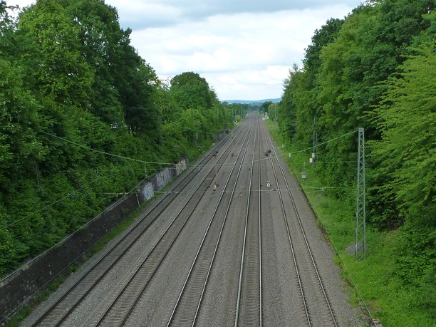 Die Köln-Mindener-Eisenbahn Blick von einer Brücke auf eine mehrgleisige Bahnstrecke, umrahmt von üppigen, grünen Bäumen.