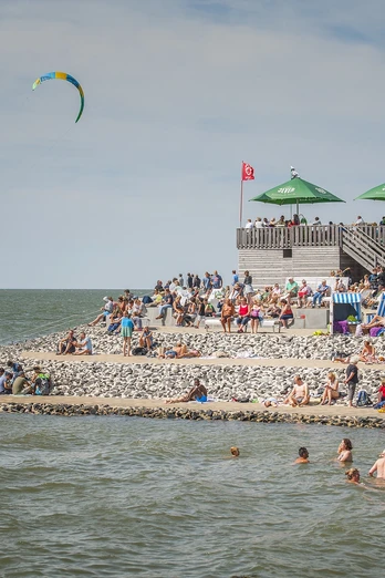 Schimmelreiters Erben