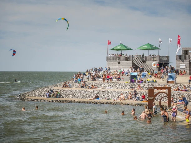 Schimmelreiters Erben