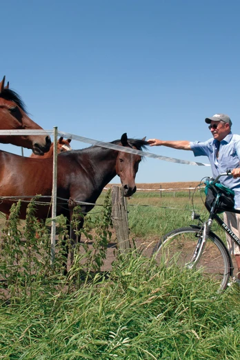 Radtour Schimmelreiters Erben