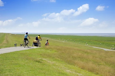Radtour Naturraum Speicherkoog Radlerfamilie am Küstenweg mit Hunden und Weide