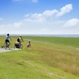 Radtour Naturraum Speicherkoog