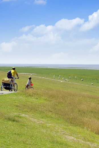 Radtour Naturraum Speicherkoog