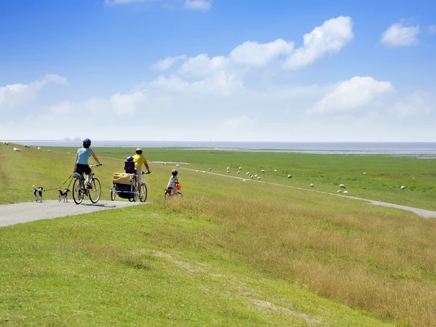 Radtour Naturraum Speicherkoog