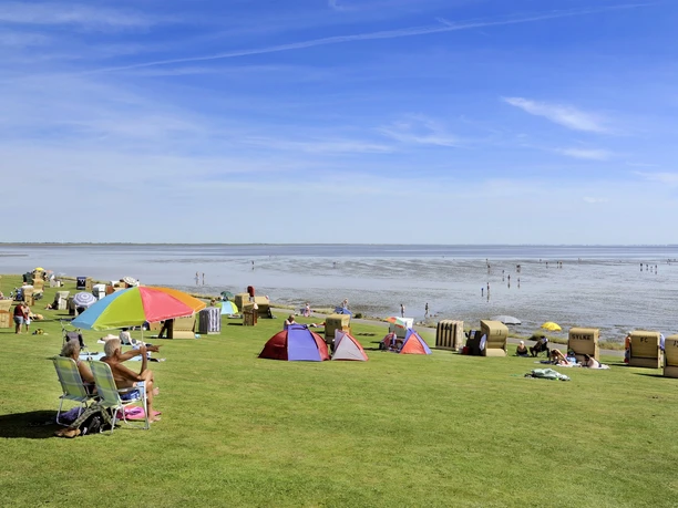 Naturraum Speicherkoog