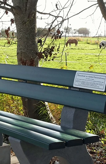 Hebbel Rundwanderweg Dichterpfad 2, Baumelbank