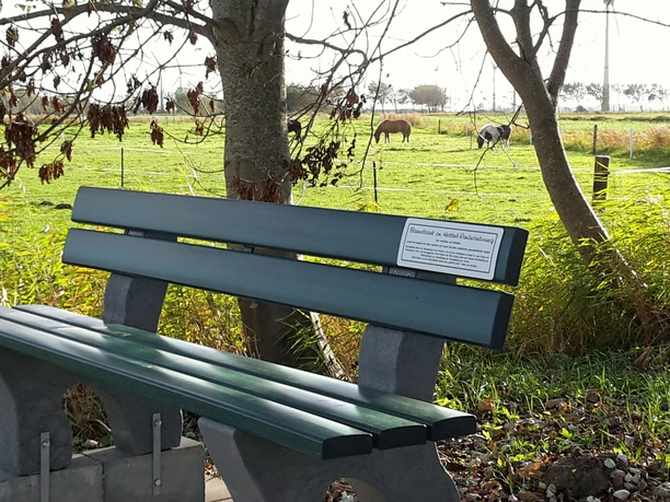 Hebbel Rundwanderweg Dichterpfad 2, Baumelbank