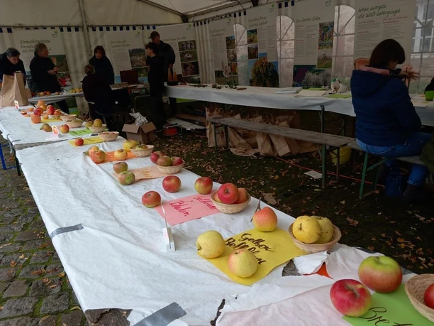 Schwälmer Apfeltag 1