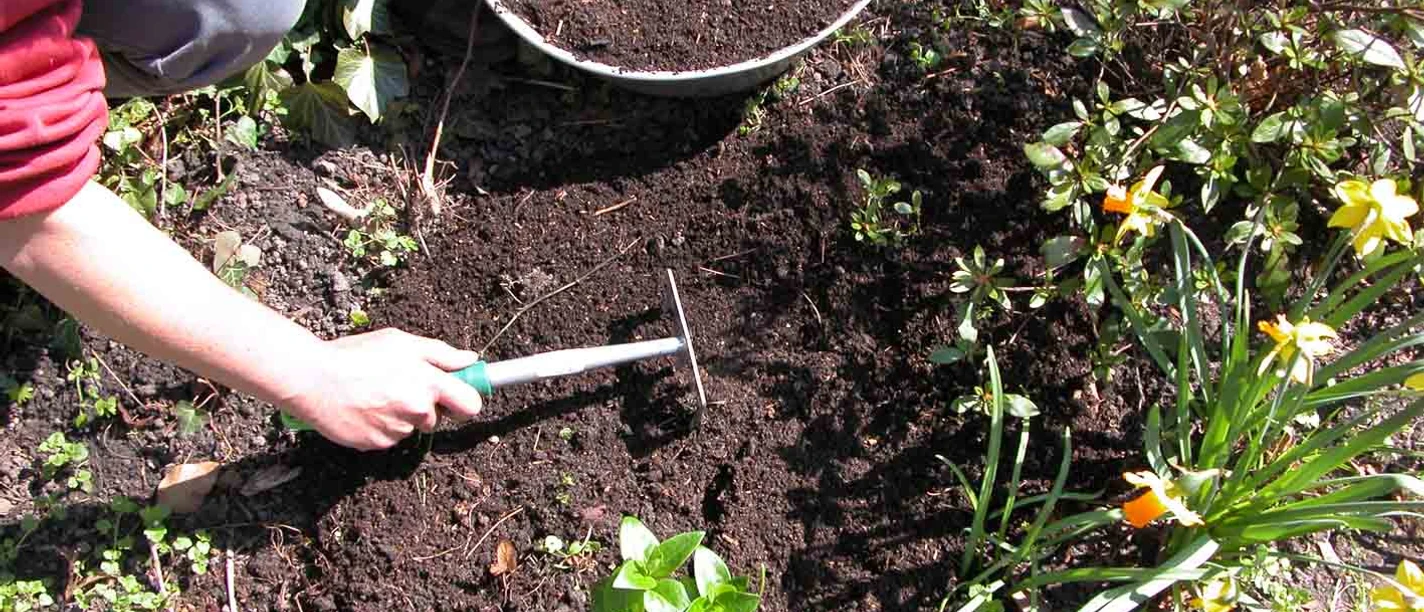 Kompostworkshop Person lockert Erde im Gartenbeet neben Schale mit Kompost und blühenden Narzissen