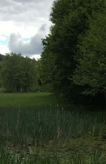 Wanderwegzeichen vor einem Teich mit Schilf, umgeben von Bäumen und bewölktem Himmel im Hintergrund.