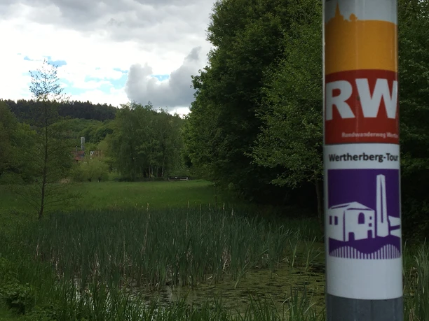 Grünzug P.A.B. Gesamtschule mit Markierungszeichen Wanderwegzeichen vor einem Teich mit Schilf, umgeben von Bäumen und bewölktem Himmel im Hintergrund.