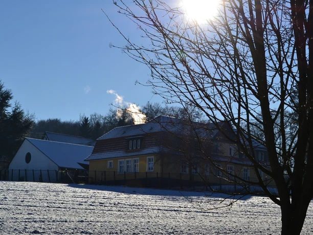 Ev. Stiftung Ummeln, ehemalige Waldheimat Winterliche Landschaft mit einem schneebedeckten Haus, kahlen Bäumen und strahlender Sonne.