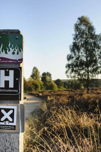 angelbecks-teich-2-l-neburger-heide-gmbh