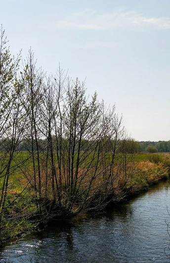 Versmolder Bruch Ein schmaler Bach fließt durch eine grüne Wiesenlandschaft, gesäumt von blattlosen Bäumen.