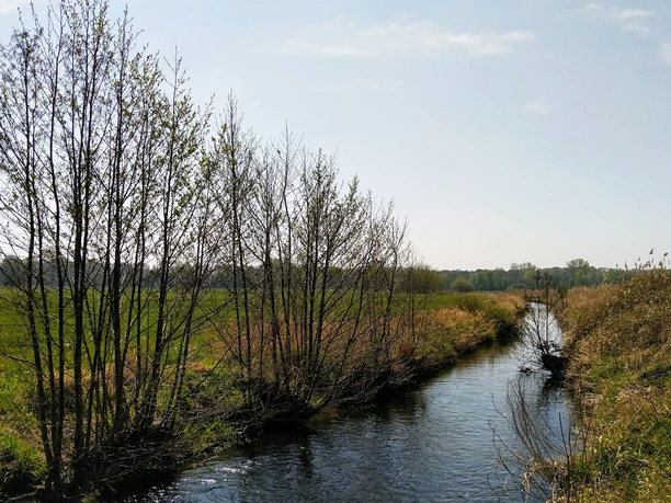 Ein schmaler Bach fließt durch eine grüne Wiesenlandschaft, gesäumt von blattlosen Bäumen.
