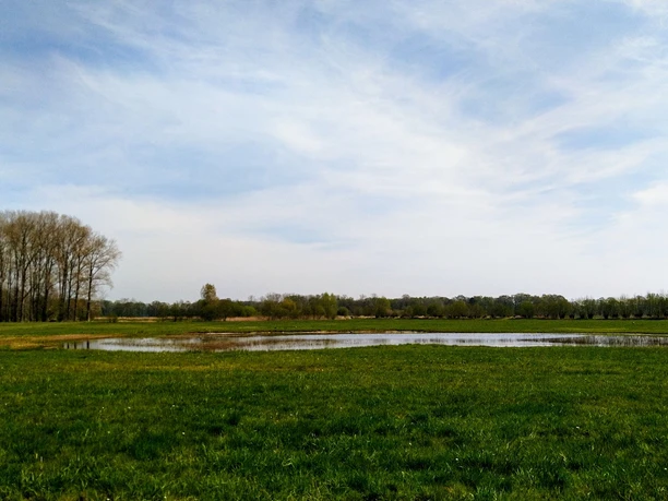Weite grüne Wiese mit einem kleinen See unter blauem Himmel; links eine Baumreihe am Horizont.