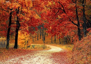 Herbstfest