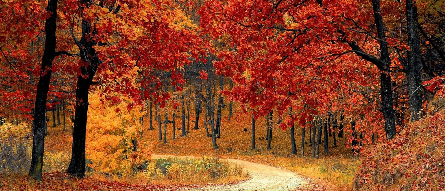 Herbstfest Herbstfest